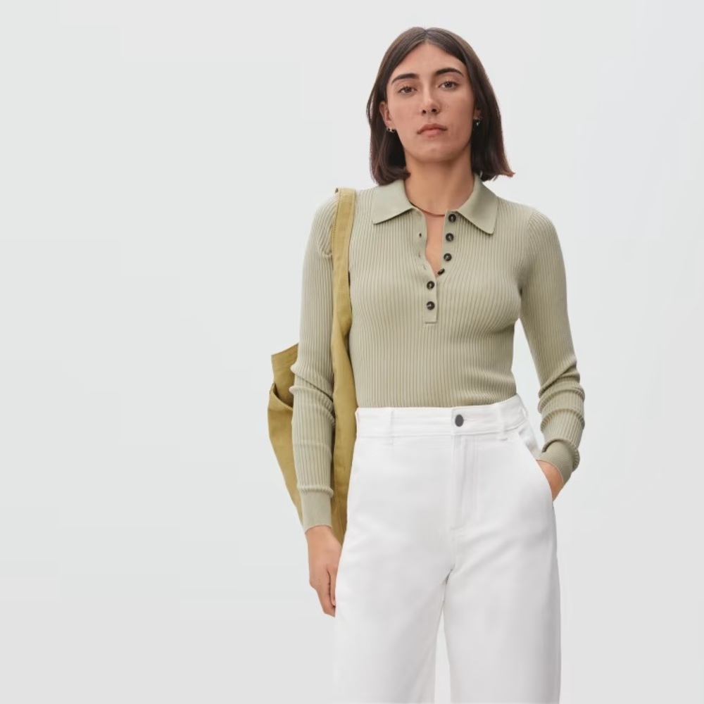 Everlane The Merino Long-Sleeve Polo